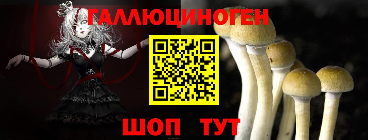 дарнет шоп  Вход с VPN  Алейск  Псилоцибиновые грибы Magic Shrooms 